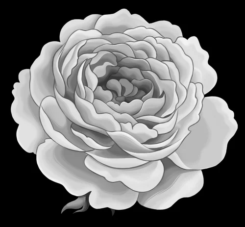 Цветок 009 (пион)