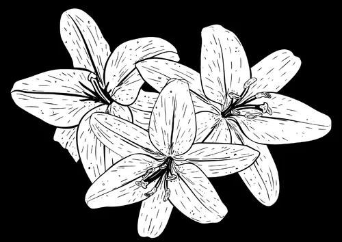 Цветочная композиция 025 (лилии) 