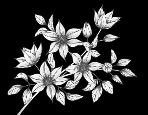 Цветок 053 (клематис)