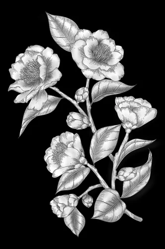 Цветочная ветка 073 (камелия) 